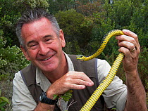 Presenter Nigel Marven  holding male Boomslang snake (Dispholidus typus) from the Cape Region, South Africa, October. 2013