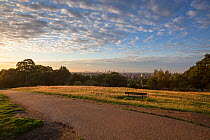 View of London from Parliament Hill, Hampstead Heath, London, England, UK. August 2014.