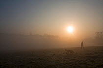 Dog walker on Hampstead Heath on a misty dawn, London, England, UK, March 2014.