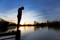 Swimmer about to dive into the cold water of the Men's Pond, Hampstead Heath, London, England, UK. January 2016.