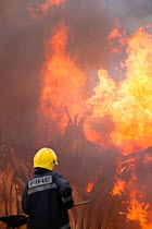 Fireman watching as piles of African elephant ivory are burnt by the Kenya Wildlife Service (KWS). This burn included over 105 tons of elephant ivory, worth over $150 million. Nairobi National Park, K...