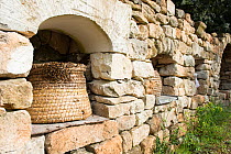Straw beehives or skeps, in alcoves of wall, Alpilles, France, April.