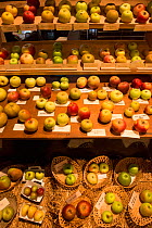 Diversity of Apple varieties at fair in St Jean du Gard, Languedoc, France.