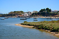 Saltmarsh and estuarine harbour at high tide with moored sailing yachts, Alvor, near Portimao, Algarve, Portugal, July 2013.