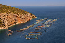 Landscape of fish farm with floating pens for Sea bass and Sea bream, Selonda Bay, Argolis, Peloponnese, Greece, August 2013.