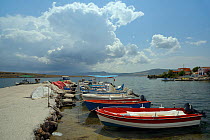 Moored fishing boats in Apothika village harbour, with clouds over Mount Olympus in the background, Lesbos/Lesvos, Greece, May 2013.