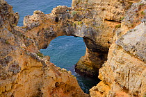 Weathered sandstone rocks with natural archways carved by the sea at Ponta da Piedade, Lagos, Algarve, Portugal, August 2013.