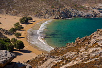 Landscape of remote Psili Ammos beach with a row of shady Tamarisk / Salt Cedar trees (Tamarix sp.), Patmos, Dodecanese Islands, Greece, August 2013.