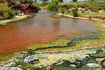 Thermal river, fed with boiling water from hot springs, with colourful growths and scummy crusts of blue-green algae, Lisvori, Polychnitos, Lesbos / Lesvos, Greece, May 2013.