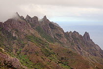 Extinct volcanoes in the cloud-shrouded Anaga mountains flanked by subtropical Laurel forests above Taganana village, Anaga Rural Park,Tenerife, May.