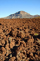 Volcanic lava flows in the spiky, uneven "aa or malpais" form in the Las Canadas caldera, Teide National Park, Tenerife, Canary Islands, May.
