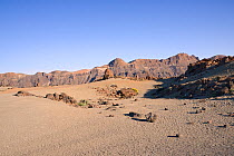Extensive field of pumice stone surrounded by old volcanos, Las Canadas caldera, Teide National Park, Tenerife, May 2014.