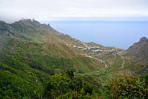 Overview of Taganana village and valley flanked by subtropical Laurel  forests and extinct volcanoes in the cloud-shrouded Anaga mountains, Anaga Rural Park,Tenerife, May.