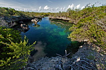 Bras Deux Cedres is an inlet in the coral island Grand Terre.  The inlet is connected to Aldabra lagoon and has some underwater caves, Natural World Heritage Site, Aldabra