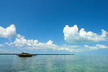 Aldabra lagoon with coral 'mushroom', Natural World Heritage Site, Aldabra 2005