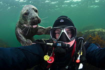 Underwater photographer Alex Mustard taking a self-portrait with a friendly young grey seal (Halichoerus grypus). Farne Islands, Northumberland, England, British Isles. North Sea. ~ Model released.