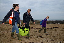 British Divers Marine Life Rescue animal medics Michelle Clement and Rachel Shorland carrying  injured Grey seal pup (Halichoerus grypus) 'Jenga', in a bag after rescuing it from a beach, Widemouth Ba...