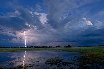 Thunder storm with lightning over the Okavango Delta swamp, Botswana