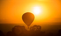Hot air balloon floating at sunrise over Masai Mara National Reserve, Kenya, August 2012