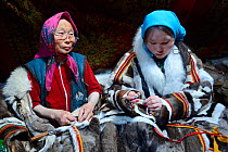 Two generations of Nenet women, an older woman and teeage girl, sewing and wearing traditional coat made with reindeer skin. Yar-Sale district, Yamal, Northwest Siberia, Russia. April 2016.