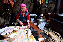 Nenet woman preparing fillets of muksun fish inside tent. Yar-Sale district. Yamal, Northwest Siberia, Russia. April 2016.