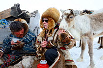 Nenet woman feeding avka, pet reindeer calf (Rangifer tarandus) in Yar-Sale district, Yamal, Northwest Siberia, Russia. April 2016.