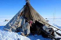 Nenet woman at entrance to reindeer fur covered tent. Yar-Sale district. Yamal, Northwest Siberia, Russia. April  2016.