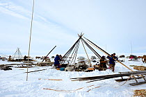 Nenet herders dismantling tent in tundra. Yar-Sale district. Yamal, Northwest Siberia, Russia. April  2016.