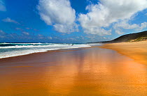 Thonga Beach on the coast of Indian Ocean, Maputuland, KwaZulu-Natal, South Africa, January.