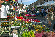 Columbia Road flower market and shops, London, England, UK, February 2015.