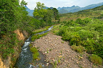 Stream running near Cathedral Peak, Drakensberg, KwaZulu-Natal, South Africa, January 2016.