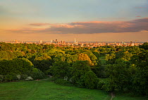 View of the City of London taken from a (MEWP) Mobile Elevated Working Platform, Hampstead Heath, London, England, UK, May 2015.