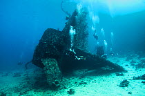 Divers investigate the stern of the SS Carnatic Shipwreck, Abu Nuhas reef, northern Red Sea, December 2014