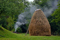 Traditional haystack in montane meadow, near Foca, Bosnia and Herzegovina, July 2014.