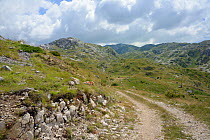 Track leading towards the limestone mountains of Durmitor National Park, Montenegro, July 2014.