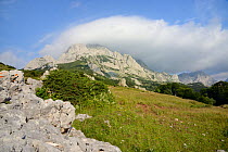 Adiabatic banner clouds forming above the 2386m limestone peak of Mount Maglic, Bosnia's mountain, as warm air rises, cools and is blown by the wind, Sutjeska National Park, Bosnia and Herzegovina, Ju...