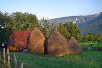 Traditional haystacks and barn at Mjesaji village in Sutjeska National Park, near Tjentiste, Bosnia and Herzegovina, July 2014.