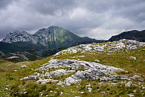 Limestone rocks and vertically folded limestone layers of Prutas mountain, Durmitor National Park, Montenegro, July 2014.