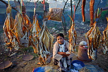 Women selling dried fish at Sittwe fish market. Rakhine State, Myanmar 2012