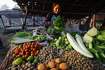 Woman selling vegetables at Sittwe market, Rakhine State, Myanmar 2012