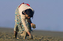 Rakhine woman gathering clams by probing holes with her finger. Subsistence hunting pressure is intense on both marine and terrestrial wildlife in the region, Rakhine State, Maynmar, 2012
