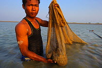 Subsistence shrimp fisherman with catch standing in sea, Rakhine State, Myanmar 2012