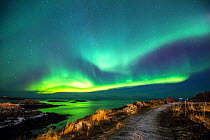Northern lights showing above coast close to Andenes Lighthouse, Andenes, Andoya island, North Atlantic Ocean, Norway, January 2016