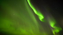 Timelapse of the Aurora Borealis, Hornstrandir, West Fjords, Iceland. April 2016