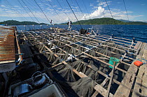 Bagan (floating fishing platform), Cenderawasih Bay, West Papua, Indonesia. August 2015.
