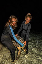 MAR Alliance researchers carrying Hawksbill turtle (Eretmochelys imbricata) which has been tagged, Lighthouse Reef Atoll, Belize. May 2015.