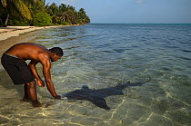Nurse Shark (Ginglymostoma cirratum) & Evaristo Muschamp Marine Megafauna Research. Large marine fish, sharks, rays & turtles. MAR Alliance Halfmoon Caye Lighthouse Reef Atoll Belize Central Ame...