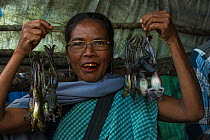 Woman selling live frogs for food, Sohra Market, Cherrapunji Meghalaya,  North East India. October 2014.