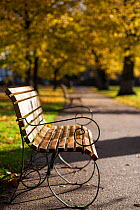 Empty bench in Pittville Park in the autumn, Cheltenham, Gloucestershire, UK. November 2013.