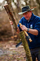 Splitting timber using traditional tools, Ullenwood, Coberley, Gloucestershire, UK. February 2014.